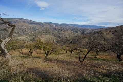 Finca i Almegijar, Granada, Almegijar - € 350.000 | Ref: ALMC526 - foto 46