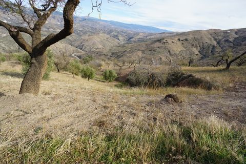 Finca i Almegijar, Granada, Almegijar - € 350.000 | Ref: ALMC526 - foto 47