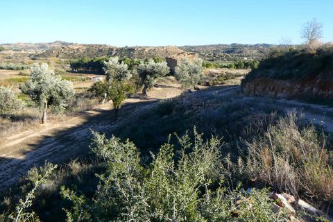 Finca i Maella, Zaragoza, Maella - € 15.500 | Ref: 0953 - foto 22