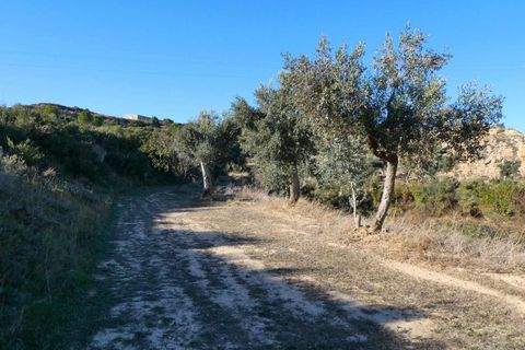 Finca i Maella, Zaragoza, Maella - € 15.500 | Ref: 0953 - foto 8