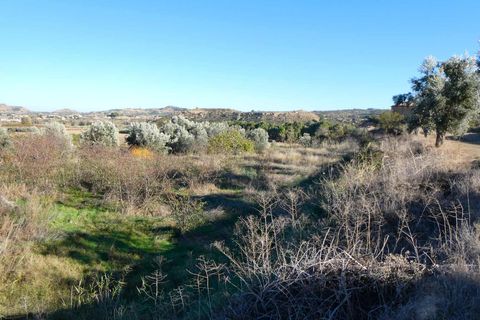 Finca i Maella, Zaragoza, Maella - € 15.500 | Ref: 0953 - foto 6