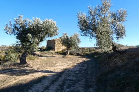 Finca i Maella, Zaragoza, Maella - € 15.500 | Ref: 0953 - foto 9