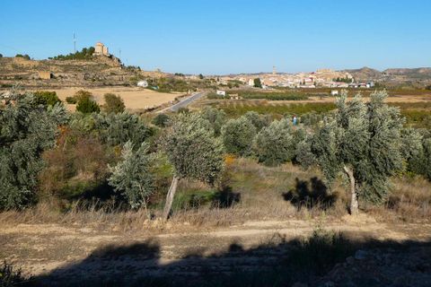Finca i Maella, Zaragoza, Maella - € 15.500 | Ref: 0953 - foto 21