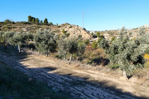 Finca i Maella, Zaragoza, Maella - € 15.500 | Ref: 0953 - foto 20