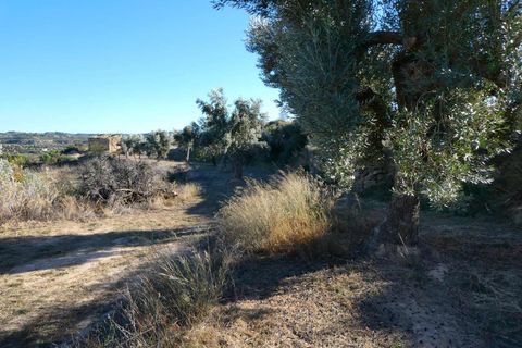 Finca i Maella, Zaragoza, Maella - € 15.500 | Ref: 0953 - foto 7