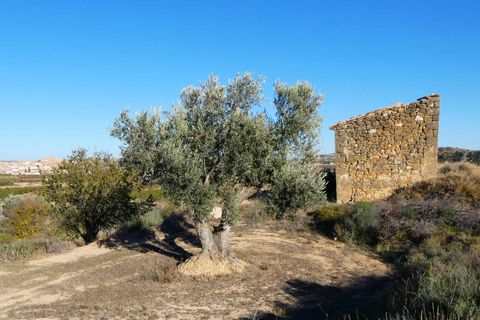 Finca i Maella, Zaragoza, Maella - € 15.500 | Ref: 0953 - foto 19
