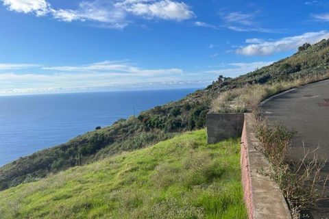 Helårsgrund i Calheta, Madeira, Calheta - € 750.000 | Ref: 219 - foto 2
