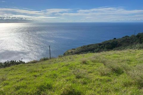 Helårsgrund i Calheta, Madeira, Calheta - € 750.000 | Ref: 219 - foto 4