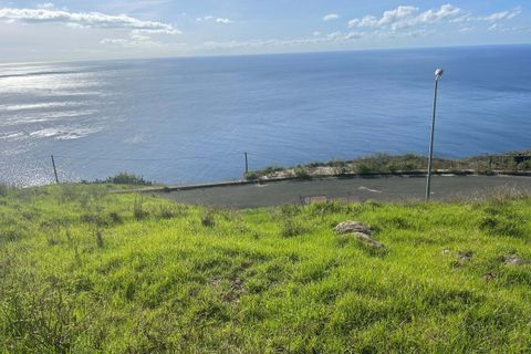 Helårsgrund i Calheta, Madeira, Calheta - € 750.000 | Ref: 219 - foto 5