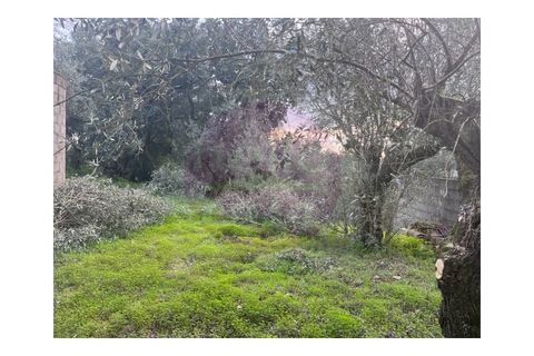 Villa i Tomar, Santarem, Tomar - € 430.000 | Ref: M 424 - foto 33