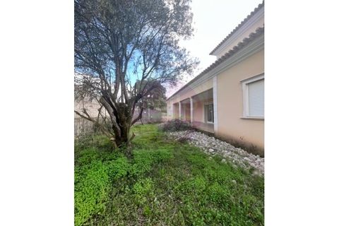 Villa i Tomar, Santarem, Tomar - € 430.000 | Ref: M 424 - foto 36