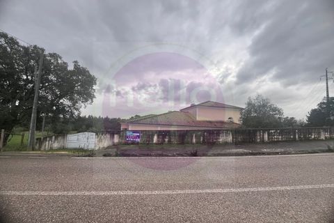 Villa i Tomar, Santarem, Tomar - € 430.000 | Ref: M 424 - foto 40