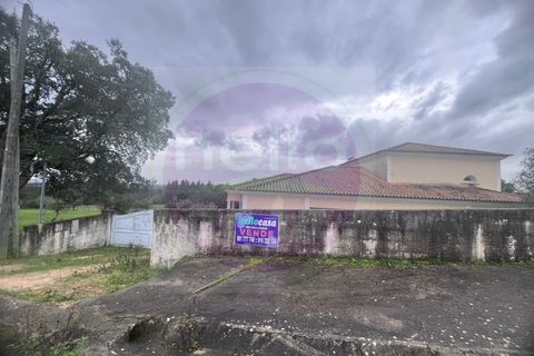 Villa i Tomar, Santarem, Tomar - € 430.000 | Ref: M 424 - foto 41