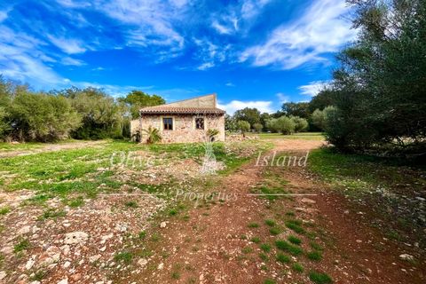Landejendom i Sencelles, Mallorca, Sencelles - € 1.200.000 | Ref: SEN432 - foto 11