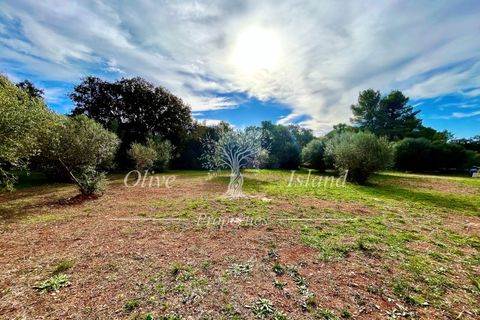Landejendom i Sencelles, Mallorca, Sencelles - € 1.200.000 | Ref: SEN432 - foto 6