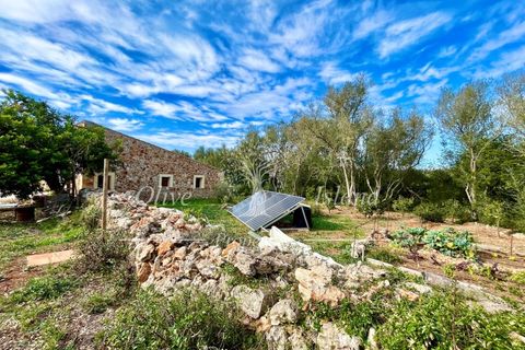 Landejendom i Sencelles, Mallorca, Sencelles - € 1.200.000 | Ref: SEN432 - foto 7