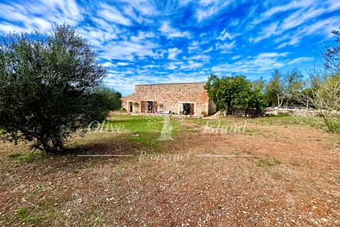 Landejendom i Sencelles, Mallorca, Sencelles - € 1.200.000 | Ref: SEN432 - foto 8
