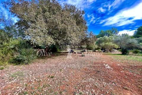 Landejendom i Sencelles, Mallorca, Sencelles - € 1.200.000 | Ref: SEN432 - foto 9