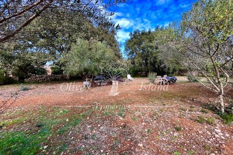 Landejendom i Sencelles, Mallorca, Sencelles - € 1.200.000 | Ref: SEN432 - foto 10