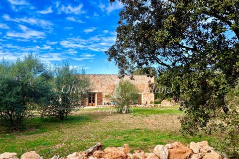 Landejendom i Sencelles, Mallorca, Sencelles - € 1.200.000 | Ref: SEN432 - foto 1