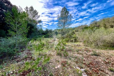 Landejendom i Sencelles, Mallorca, Sencelles - € 1.200.000 | Ref: SEN432 - foto 12