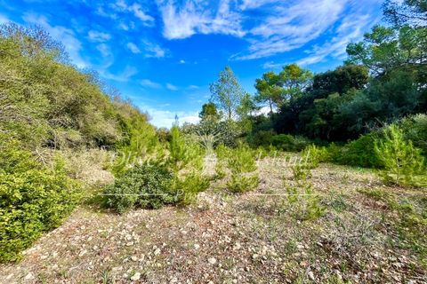 Landejendom i Sencelles, Mallorca, Sencelles - € 1.200.000 | Ref: SEN432 - foto 13