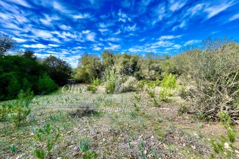 Landejendom i Sencelles, Mallorca, Sencelles - € 1.200.000 | Ref: SEN432 - foto 14
