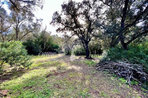 Landejendom i Sencelles, Mallorca, Sencelles - € 1.200.000 | Ref: SEN432 - foto 16