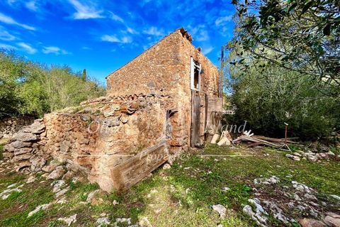 Landejendom i Sencelles, Mallorca, Sencelles - € 1.200.000 | Ref: SEN432 - foto 18