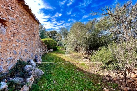 Landejendom i Sencelles, Mallorca, Sencelles - € 1.200.000 | Ref: SEN432 - foto 19