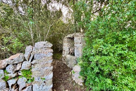 Landejendom i Sencelles, Mallorca, Sencelles - € 1.200.000 | Ref: SEN432 - foto 21