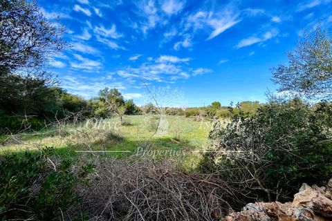 Landejendom i Sencelles, Mallorca, Sencelles - € 1.200.000 | Ref: SEN432 - foto 22