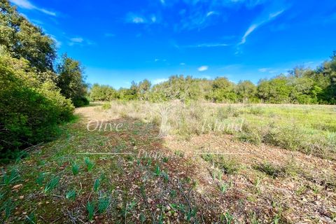 Landejendom i Sencelles, Mallorca, Sencelles - € 1.200.000 | Ref: SEN432 - foto 23