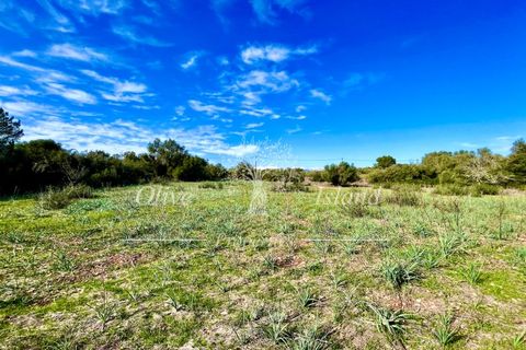 Landejendom i Sencelles, Mallorca, Sencelles - € 1.200.000 | Ref: SEN432 - foto 24
