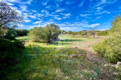Landejendom i Sencelles, Mallorca, Sencelles - € 1.200.000 | Ref: SEN432 - foto 25