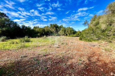 Landejendom i Sencelles, Mallorca, Sencelles - € 1.200.000 | Ref: SEN432 - foto 26