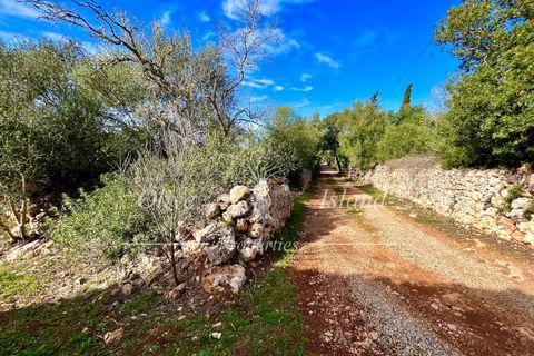 Landejendom i Sencelles, Mallorca, Sencelles - € 1.200.000 | Ref: SEN432 - foto 27