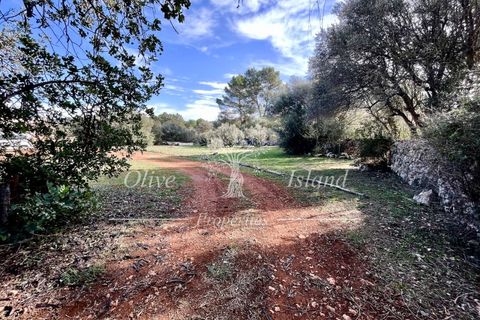 Landejendom i Sencelles, Mallorca, Sencelles - € 1.200.000 | Ref: SEN432 - foto 28