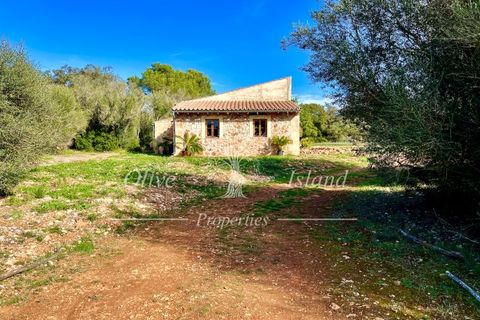 Landejendom i Sencelles, Mallorca, Sencelles - € 1.200.000 | Ref: SEN432 - foto 29