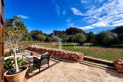 Landejendom i Sencelles, Mallorca, Sencelles - € 1.200.000 | Ref: SEN432 - foto 44