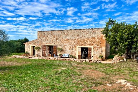 Landejendom i Sencelles, Mallorca, Sencelles - € 1.200.000 | Ref: SEN432 - foto 45