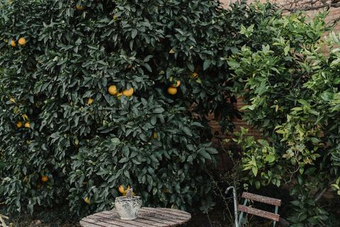 Landsbyhus i Albons, Gerona, Albons - € 850.000 | Ref: 2160 - foto 30