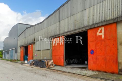Erhvervsejendom i Proenca-a-Nova, Castelo Branco, Proenca-a-Nova - € 550.000 | Ref: 324-3 - foto 1