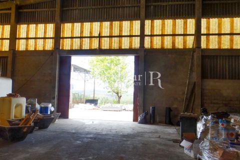 Erhvervsejendom i Proenca-a-Nova, Castelo Branco, Proenca-a-Nova - € 550.000 | Ref: 324-3 - foto 5