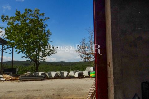 Erhvervsejendom i Proenca-a-Nova, Castelo Branco, Proenca-a-Nova - € 550.000 | Ref: 324-3 - foto 6