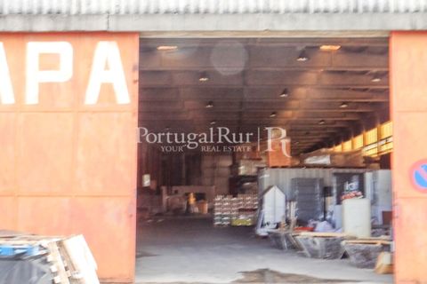 Erhvervsejendom i Proenca-a-Nova, Castelo Branco, Proenca-a-Nova - € 550.000 | Ref: 324-3 - foto 7