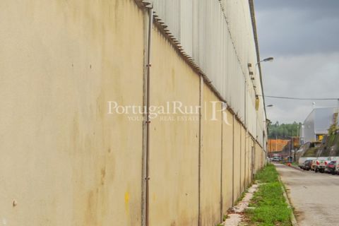 Erhvervsejendom i Proenca-a-Nova, Castelo Branco, Proenca-a-Nova - € 550.000 | Ref: 324-3 - foto 9