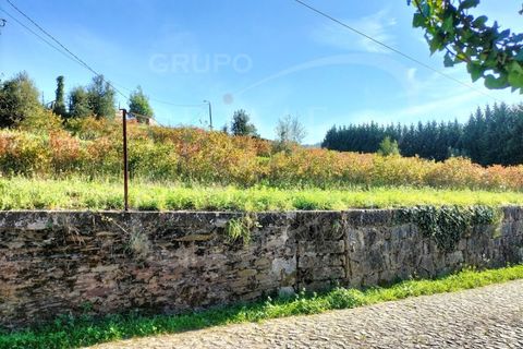 Terra a Sobreira, Porto, Sobreira - € 350.000 | Ref: 35823 - foto 3