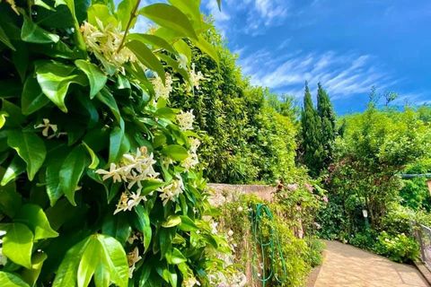 Casa de pueblo en Seravezza, Lucca, Seravezza - € 698.000 | Ref: 107575 - photo 34