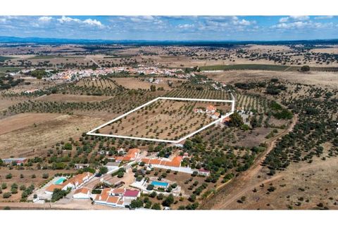 Farm i Monforte, Portalegre, Monforte - € 380.000 | Ref: MAS_757 - foto 3
